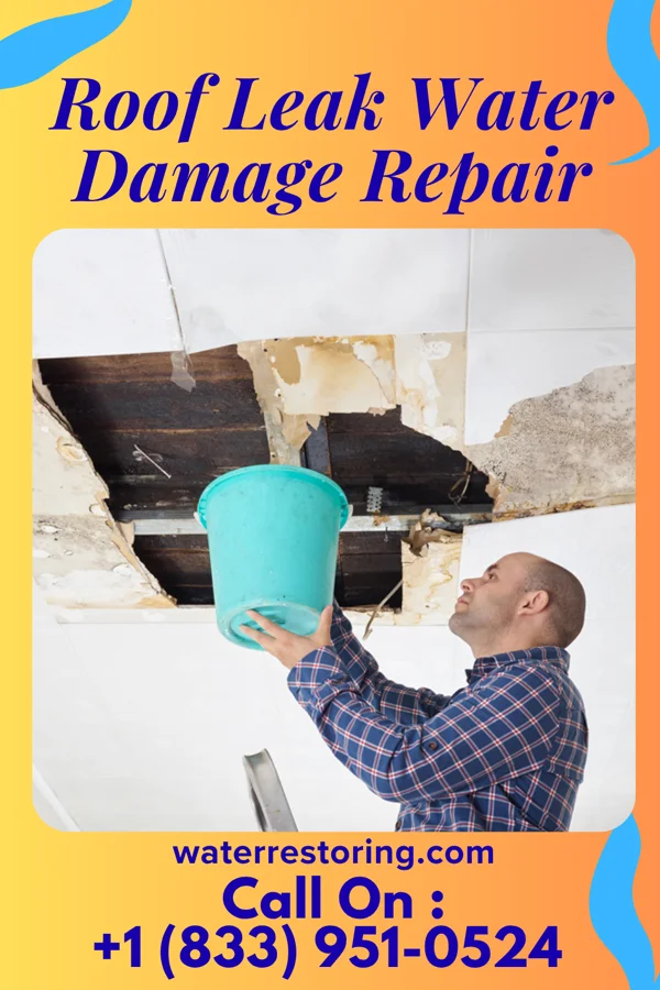 Roof Leak Water Damage Repair in Shamrock, TX